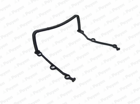 Gasket, timing case (JR5044)