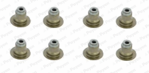 Seal Set, valve stem (HR5120)