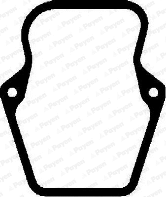 Gasket, cylinder head cover (JM7043)