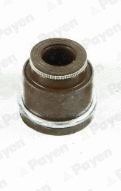 Seal Ring, valve stem (PA933)