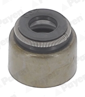 Seal Ring, valve stem