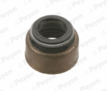 Seal Ring, valve stem (PA6054)