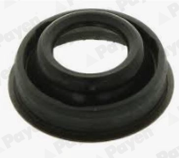 Gasket, cylinder head cover (JM7221)