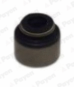 Seal Ring, valve stem (PA425)