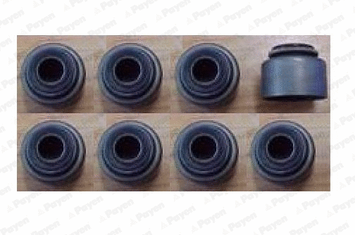 Seal Set, valve stem (HR5150)