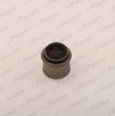 Seal Ring, valve stem (PA883)