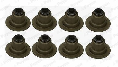 Seal Set, valve stem (HR5152)