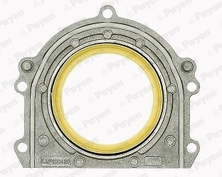Shaft Seal, crankshaft (LK5002)