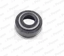 Seal Ring, valve stem (PA531)