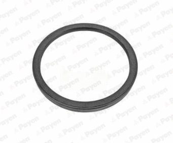 Shaft Seal, crankshaft (NA5463)