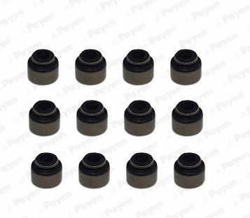 Seal Set, valve stem (HR5135)