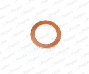 Seal Ring, oil drain plug (KG5346)