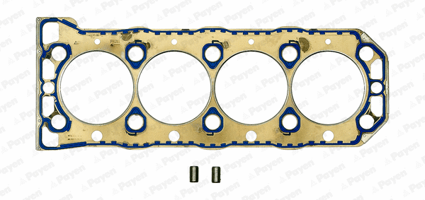 Gasket, cylinder head (BW750)