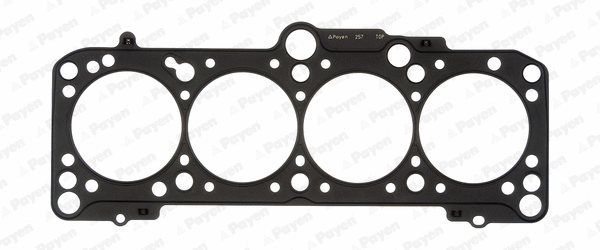 Gasket, cylinder head (BZ910)