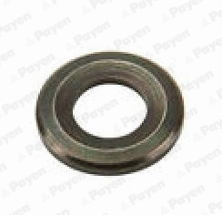 Heat Shield, injection system (PA817)