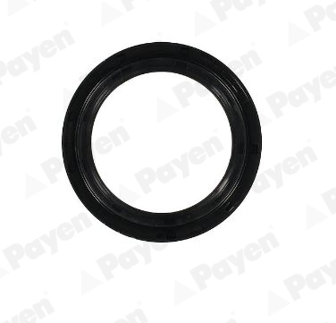 Shaft Seal, crankshaft