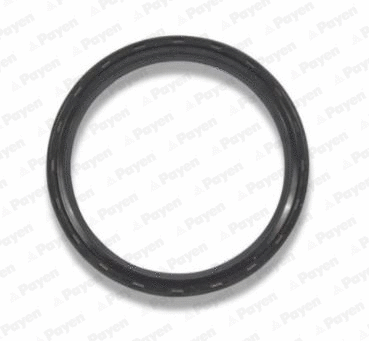 Shaft Seal, crankshaft (NA5298)