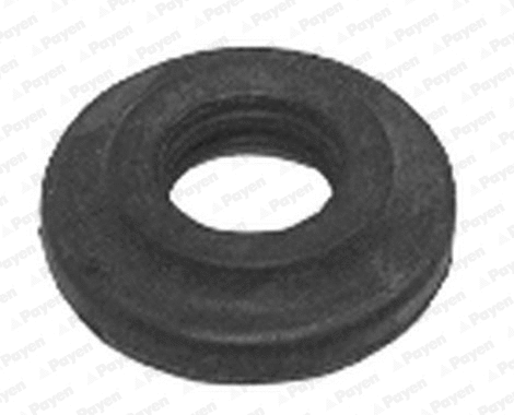 Seal Ring, cylinder head cover bolt (KK5725)