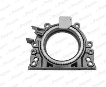 Shaft Seal, crankshaft (LK5019)