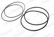 O-Ring Set, cylinder sleeve (HL5378)
