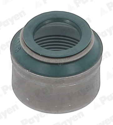 Seal Ring, valve stem