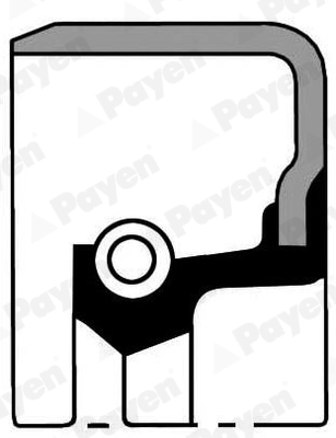 Shaft Seal, crankshaft (NA5052)
