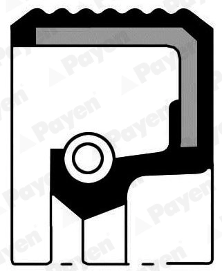Shaft Seal, crankshaft (NB307)