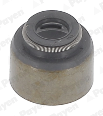Seal Ring, valve stem