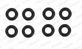 Seal Set, valve stem (HR639)