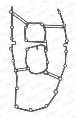 Gasket, timing case (JR5046)