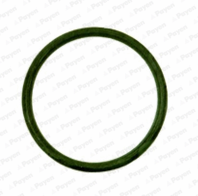 Gasket, intake manifold (JD538)