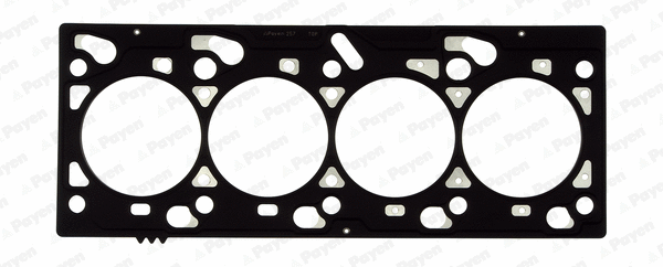 Gasket, cylinder head (BZ490)
