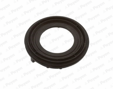 Gasket, cylinder head cover (JM7216)