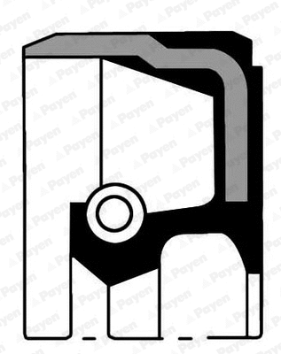 Shaft Seal, crankshaft (NB980)