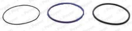O-Ring Set, cylinder sleeve (HL5379)