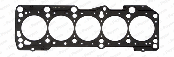 Gasket, cylinder head (AF5310)