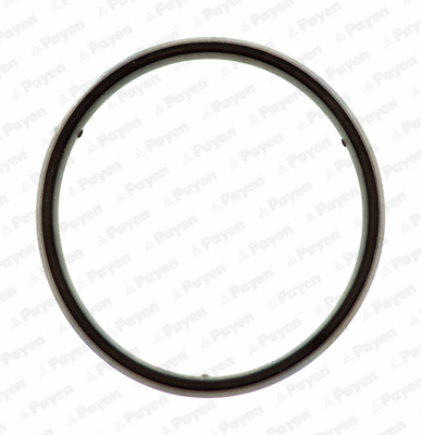Gasket, cylinder head cover (JM5157)
