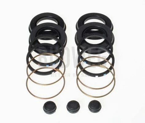 Repair Kit, brake caliper (203601)