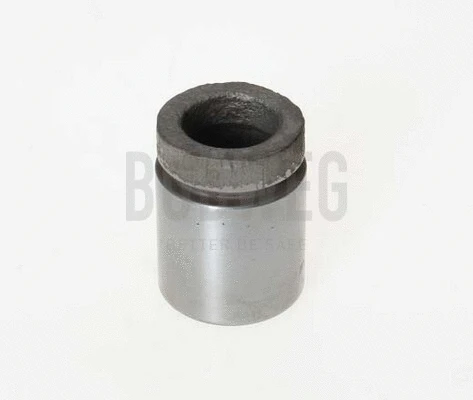 Piston, brake caliper (233629)