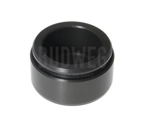 Piston, brake caliper (235745)