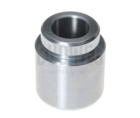 Piston, brake caliper (234519)