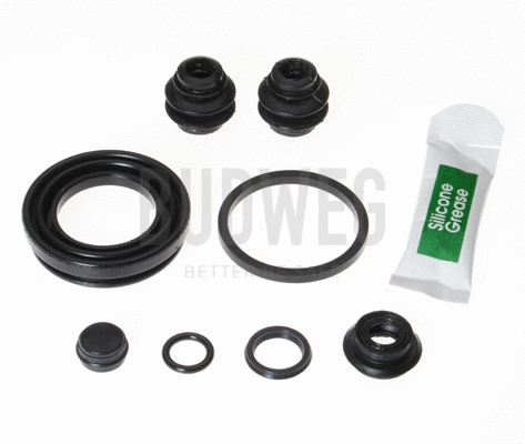 Repair Kit, brake caliper (203891)