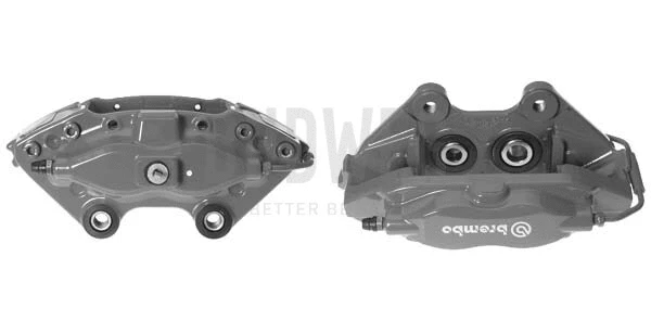 Brake Caliper (345092)
