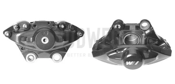 Brake Caliper (344906)