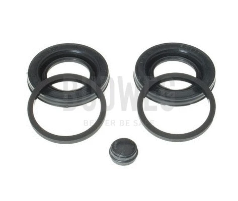 Repair Kit, brake caliper (203404)