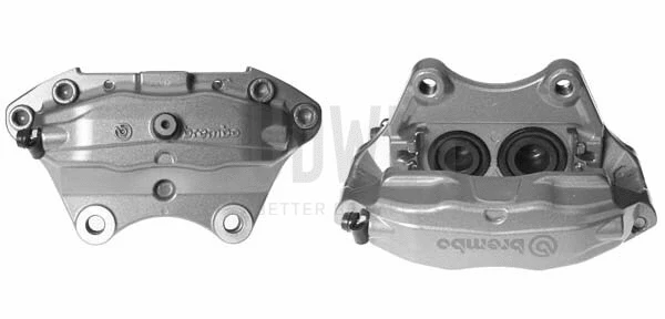 Brake Caliper (344152)