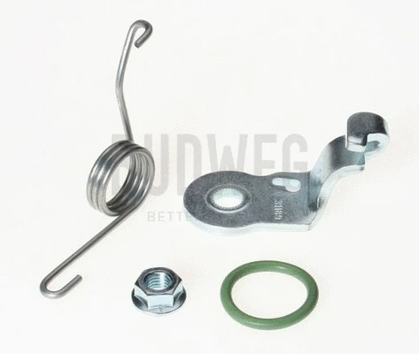 Repair Kit, parking brake lever (brake caliper) (2099366)