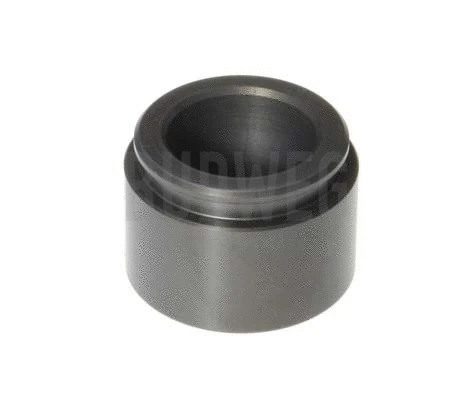 Piston, brake caliper (234339)