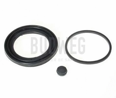 Seal, brake caliper piston (189970)
