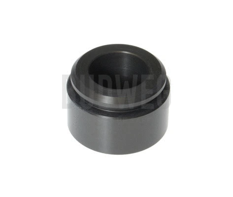 Piston, brake caliper (234418)